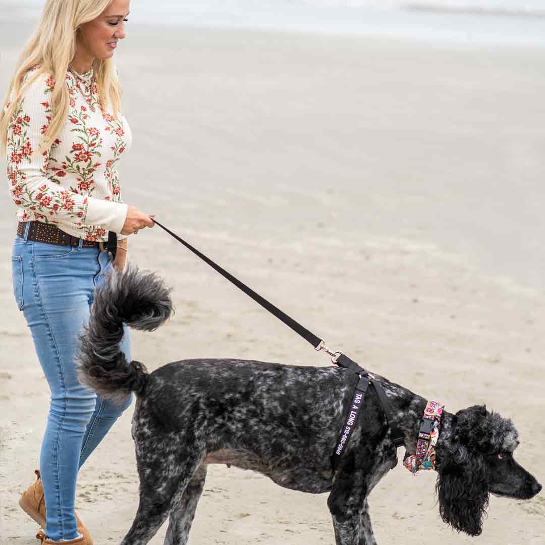 Woman uses a K9 Tagalong Tether as a leash to walk her dog