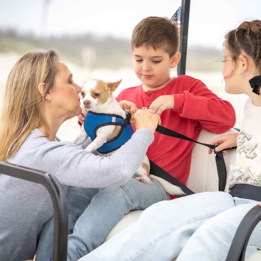 Person attaching tether to dog in golf cart